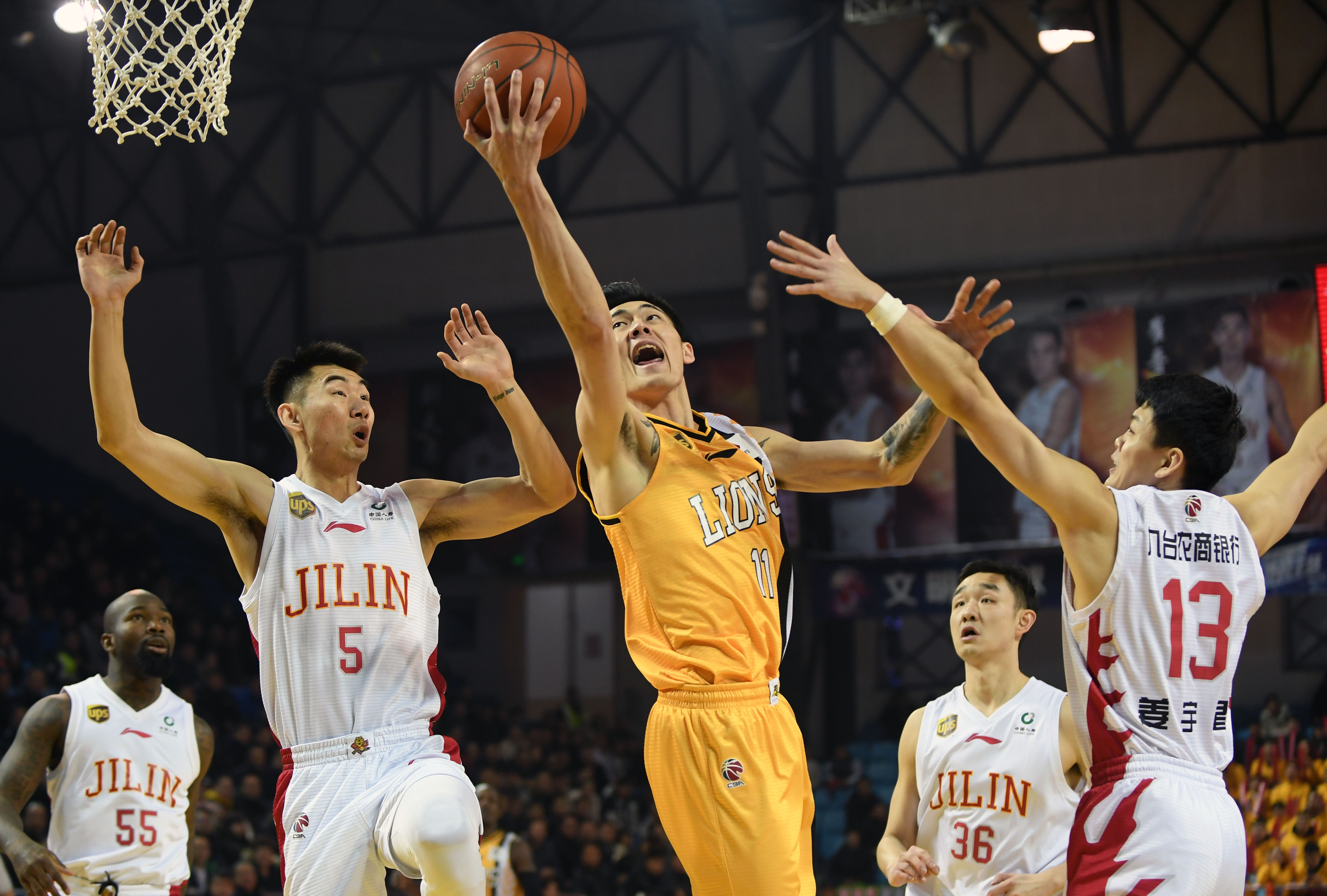 网中脱颖而 网中脱颖而