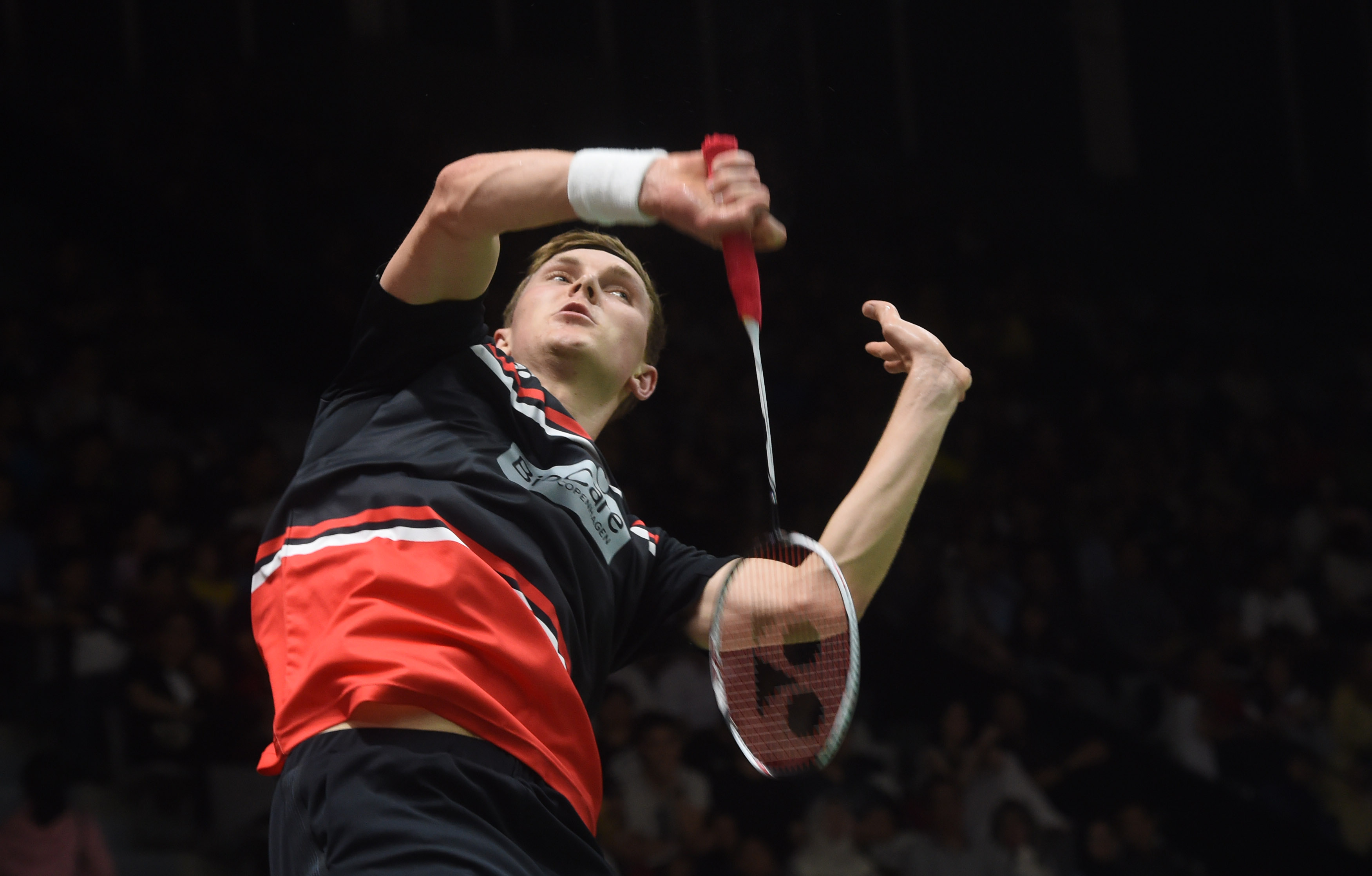 将是未来版 将是未来版