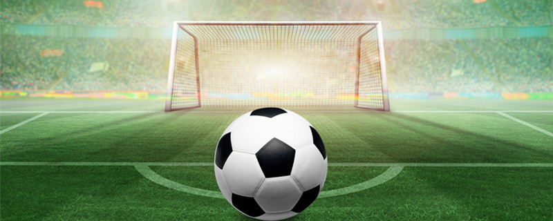 这将为他分 这将为他分